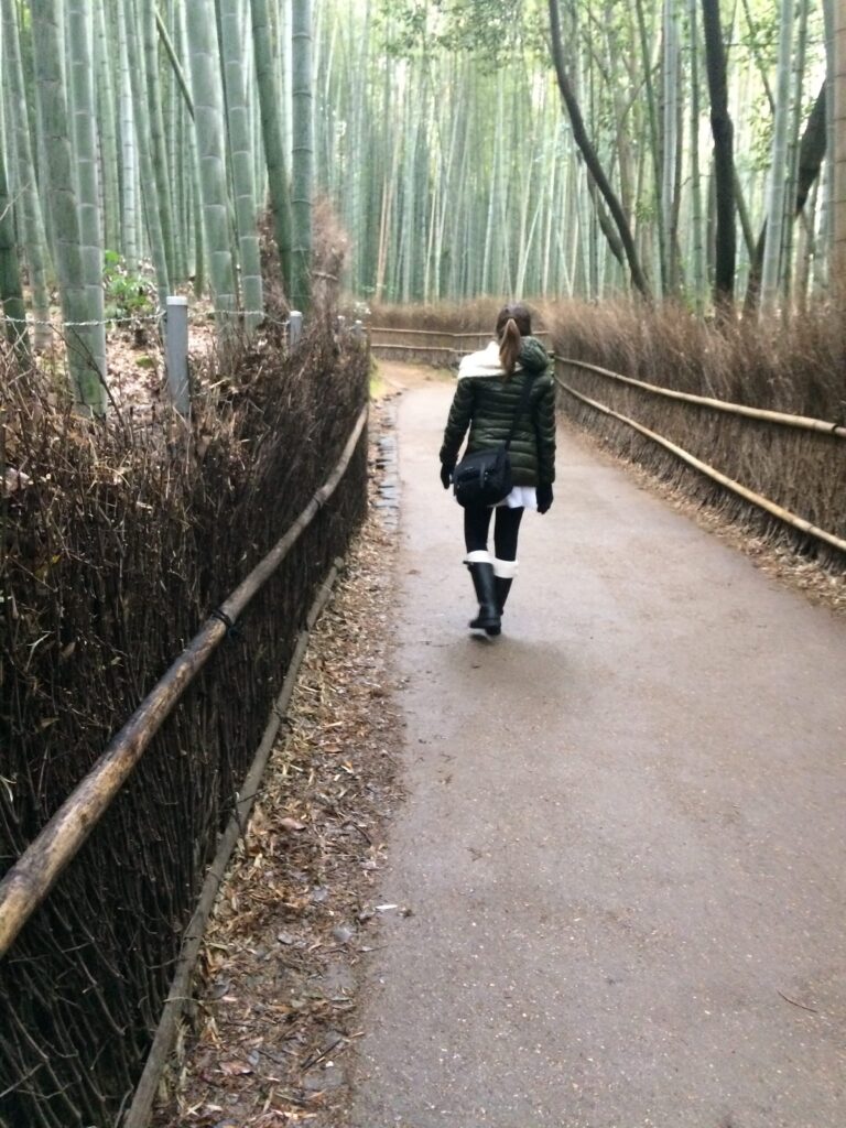 Floresta de Bambu Quioto