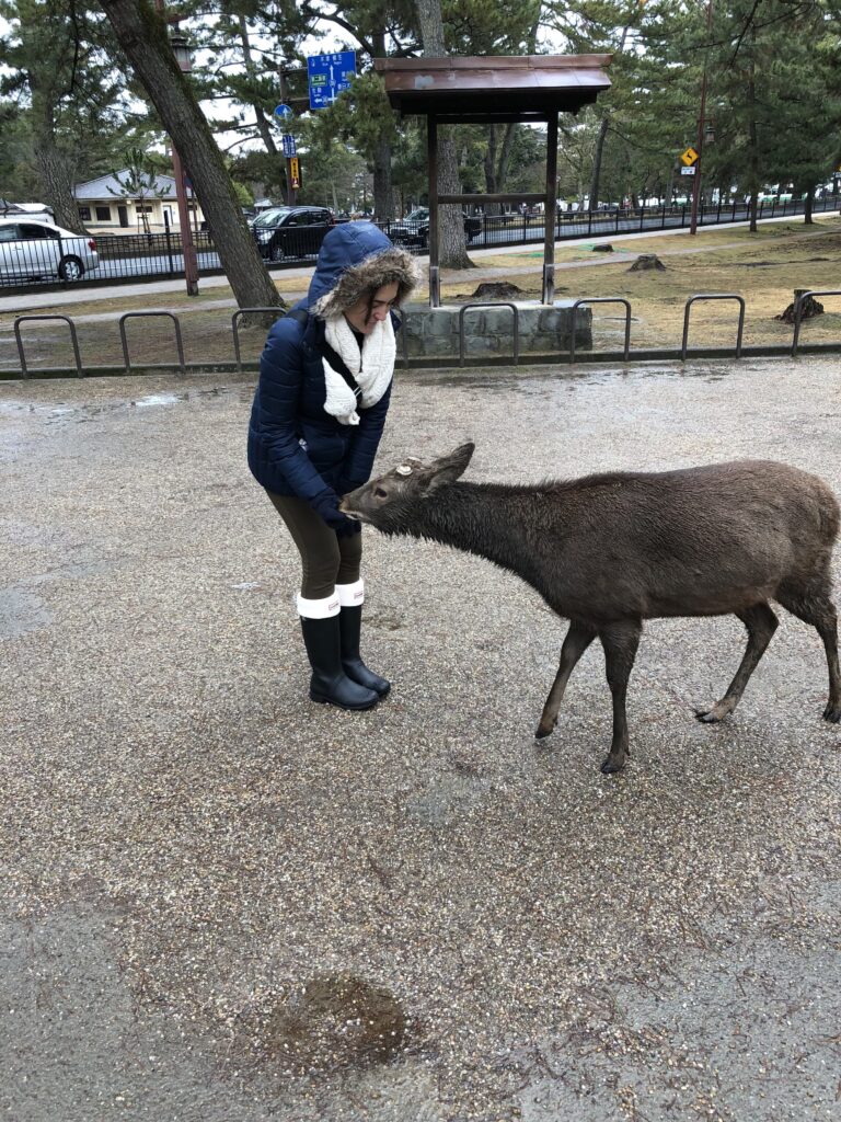 Com os cervos em Nara